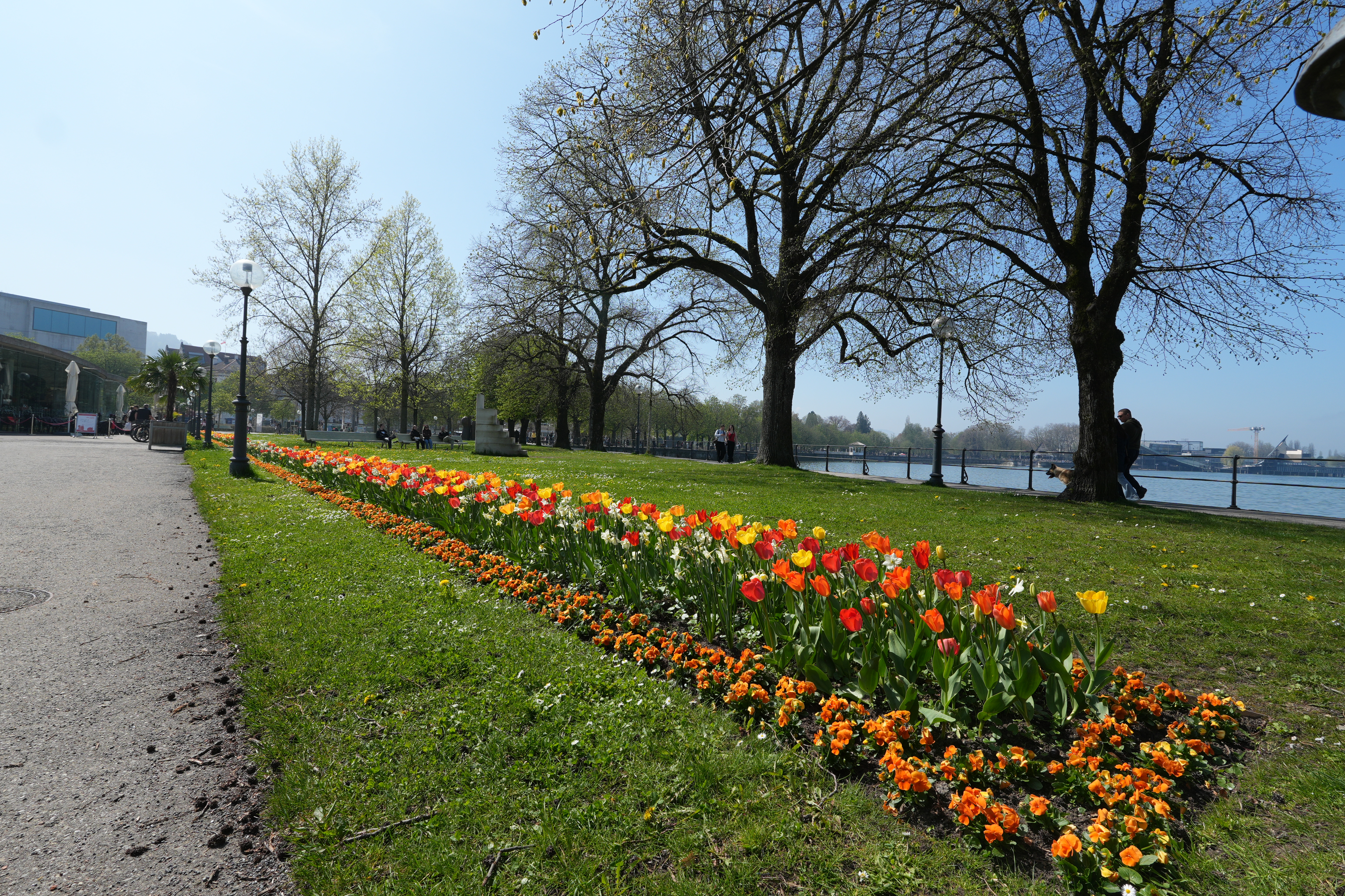Bregenz Bodensee (4 of 4)
